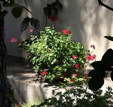 Villa Vivere Moraitika