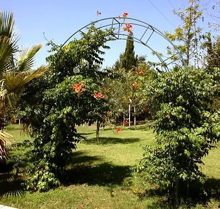 Vivere * モライティカ