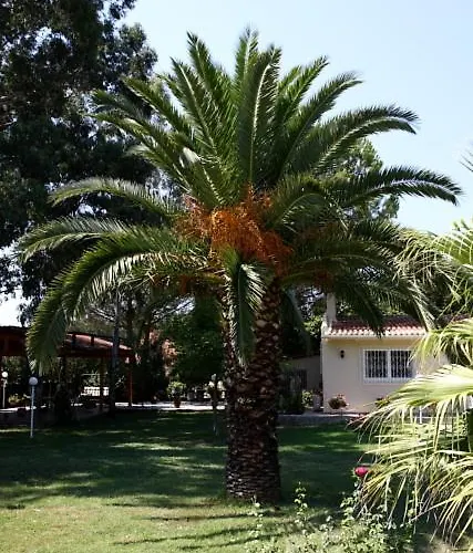 Vivere Villa